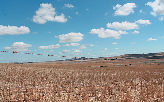 Weak leadership, inadequate planning hamper land reform Weak leadership, inadequate planning hamper land reform