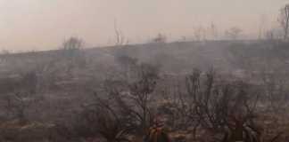 R200 million fire damage to Southern Cape farms