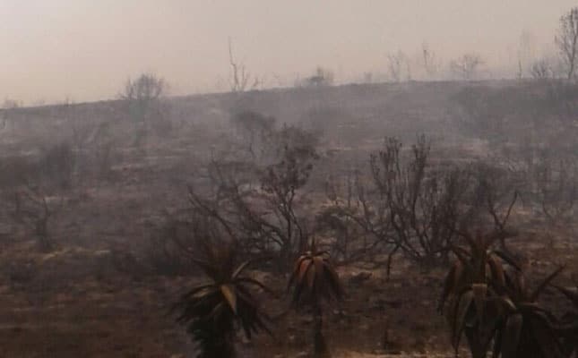 R200 million fire damage to Southern Cape farms