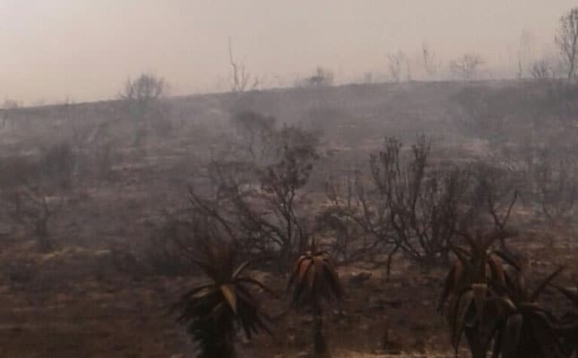 R200 million fire damage to Southern Cape farms R200 million fire damage to Southern Cape farms