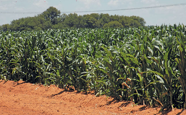 Maize production: Managing critical plant growth stages