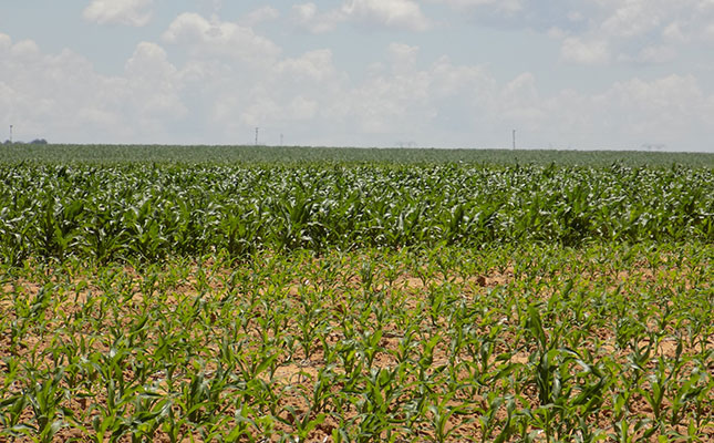 Increased possibility for an El Niño in SA Increased possibility for an El Niño in SA