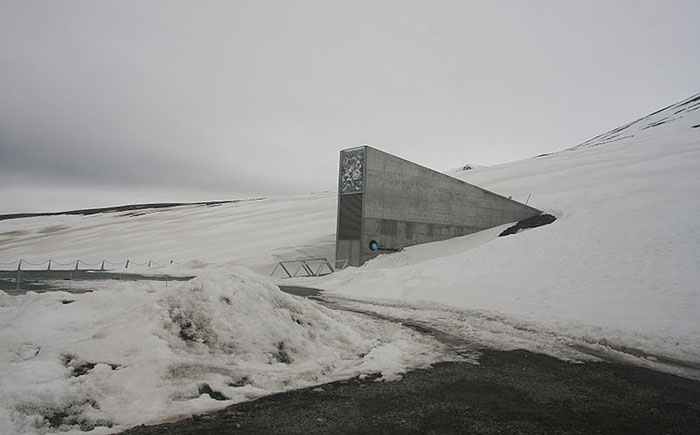 World’s seed bank safe after water scare World’s seed bank safe after water scare