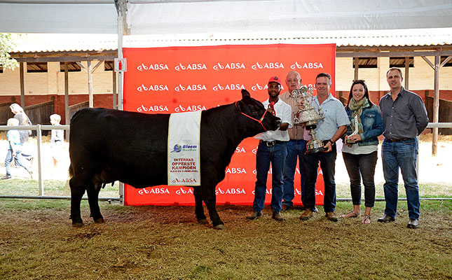 Milestone week for Angus breed