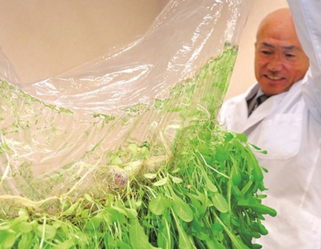 Japan’s new approach to farming without soil