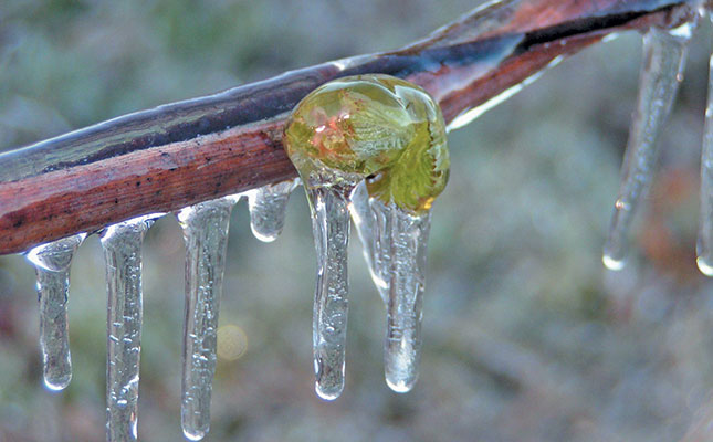 Simple and effective ways to beat the heat and the frost Simple and effective ways to beat the heat and the frost