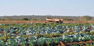 Women in agriculture continue to face exclusion