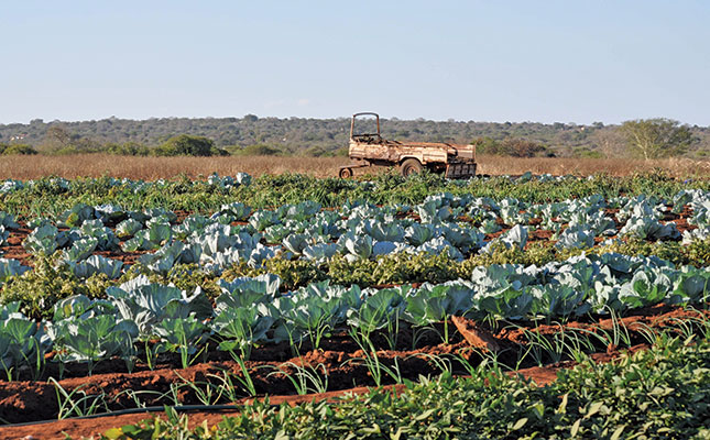 Women in agriculture continue to face exclusion