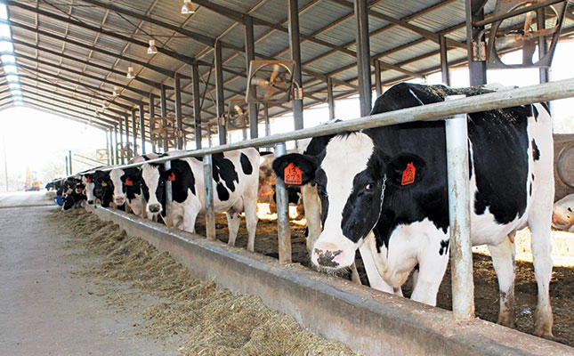 Transformation vital for progress in the dairy industry