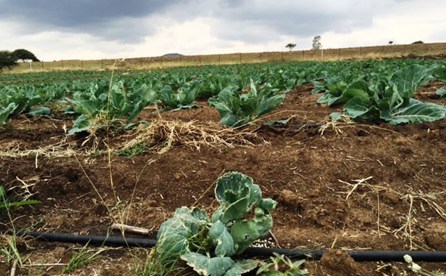Know the facts before switching irrigation systems Know the facts before switching irrigation systems