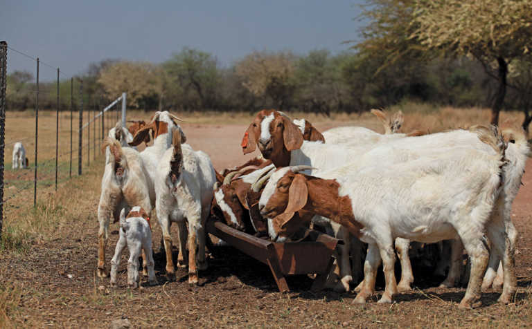 The importance of a business plan for farming The importance of a business plan for farming