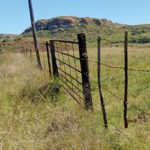R100 000 reward for proving land theft claims