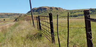 R100 000 reward for proving land theft claims