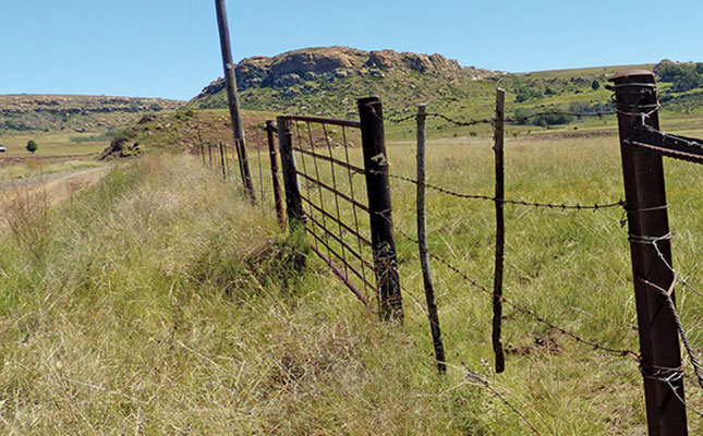 R100 000 reward for proving land theft claims