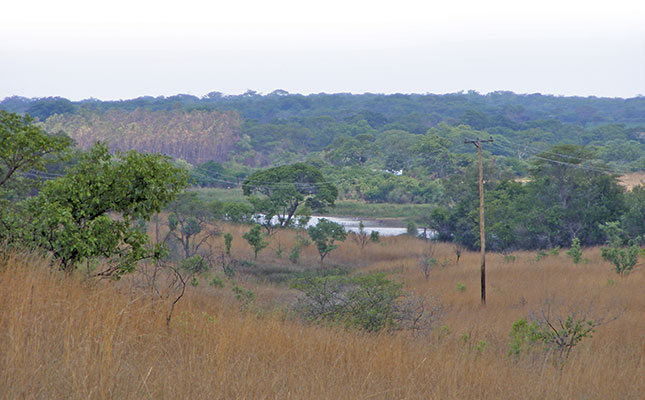 New strategy to boost Zimbabwe’s livestock production