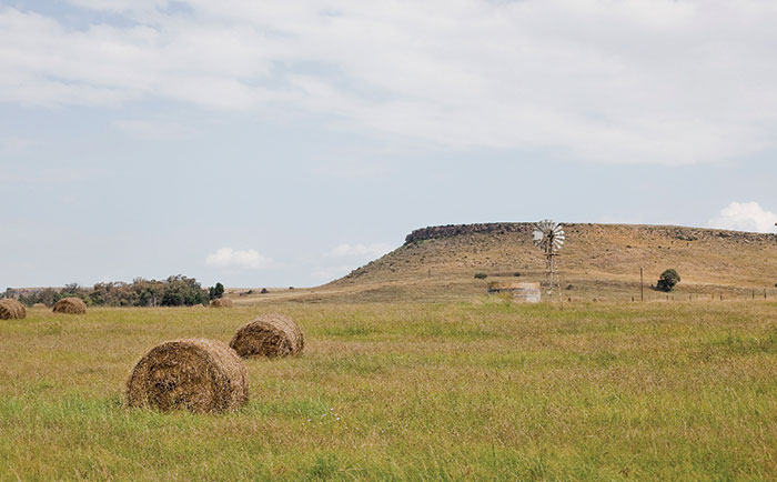 ‘Land reform is ANC’s political game’ – FF Plus