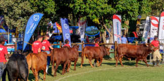 Farmer’s Weekly increases 2017 Royal Show participation