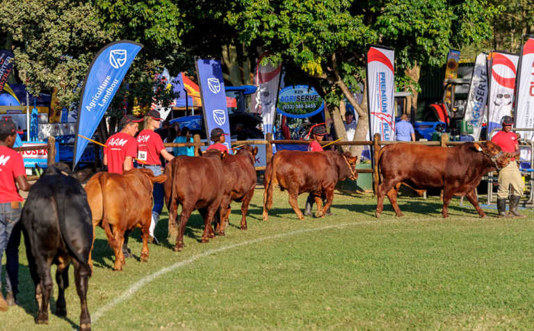 Farmer’s Weekly increases 2017 Royal Show participation