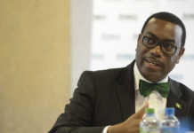 Dr Akinwumi Adesina