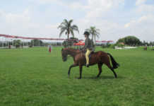 Get your horse to canter correctly