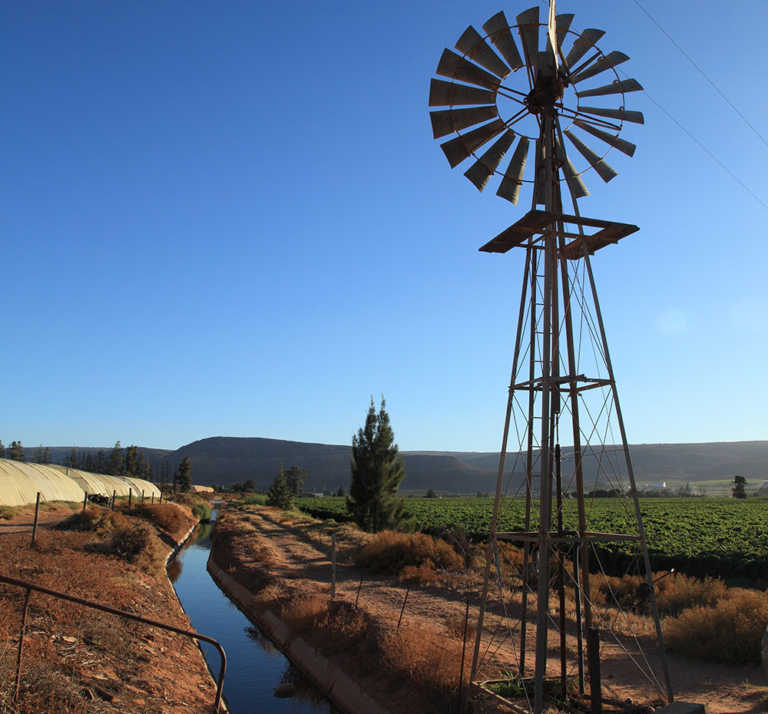 Olifants River Valley farmers’ irrigation woes