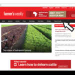 Register for the Agribusiness Africa Conference 2017  step 2