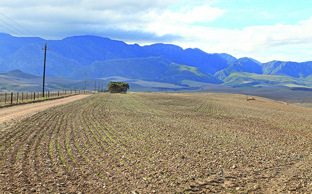 Investigate drought relief fund allocation: Agri SA Investigate drought relief fund allocation: Agri SA