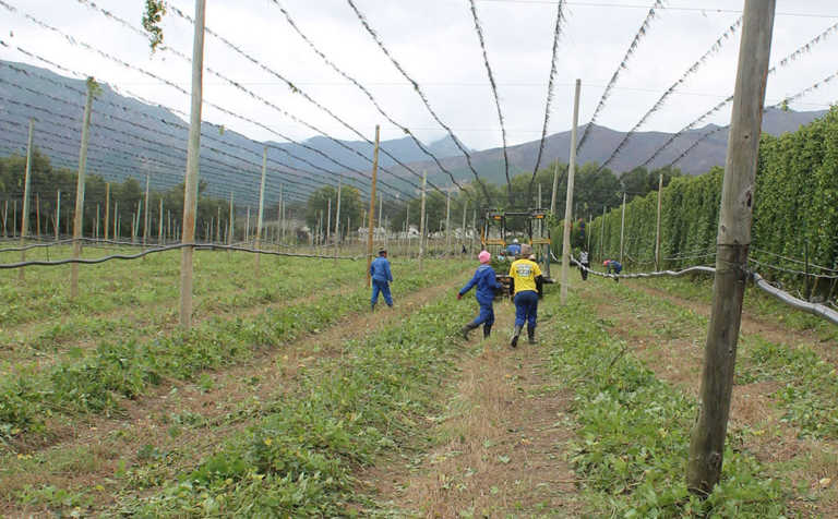 Celebrating agriculture’s unsung heroes