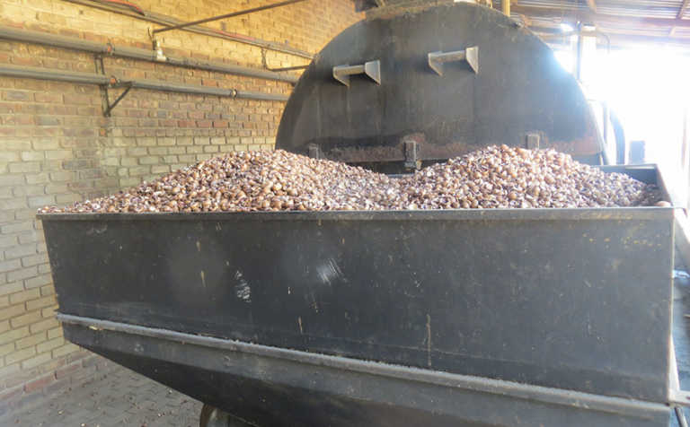 New market opportunities for South Africa’s macadamias New market opportunities for South Africa’s macadamias