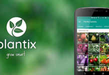 Plantix mobile app
