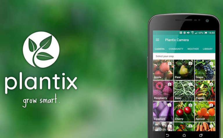 Introducing the Plantix plant doctor app