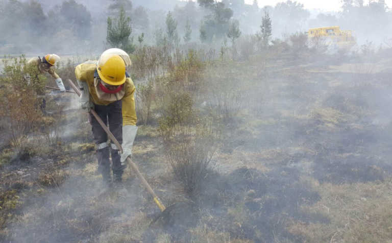 Severe fodder shortage in Western Cape