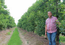 Anton Alexander, 2016 Western Cape Prestige Agri Worker of the Year,