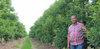 Anton Alexander, 2016 Western Cape Prestige Agri Worker of the Year,