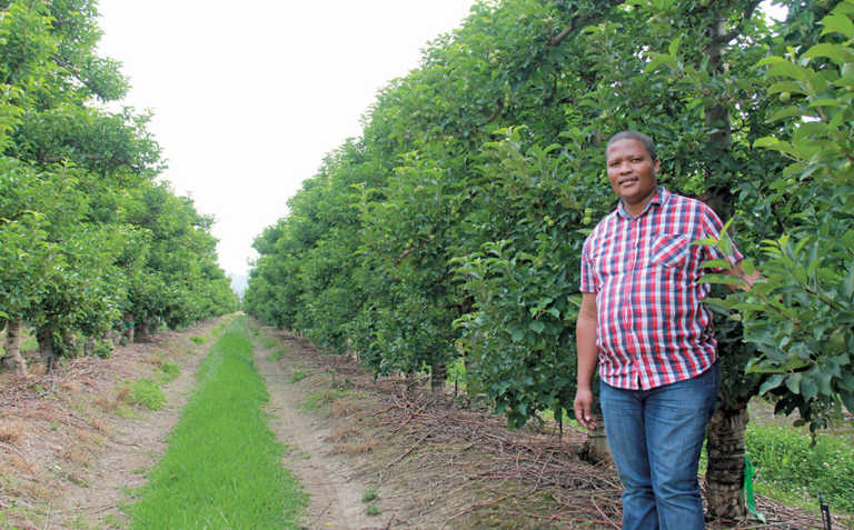 Curiosity: winning secret of a top agri worker Curiosity: winning secret of a top agri worker