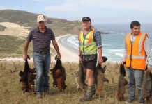 Legal challenge for NZ predator eradication project