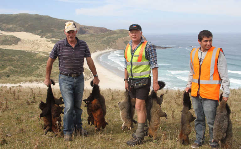 Legal challenge for NZ predator eradication project