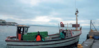 Court rules for DAFF in fishing rights allocation