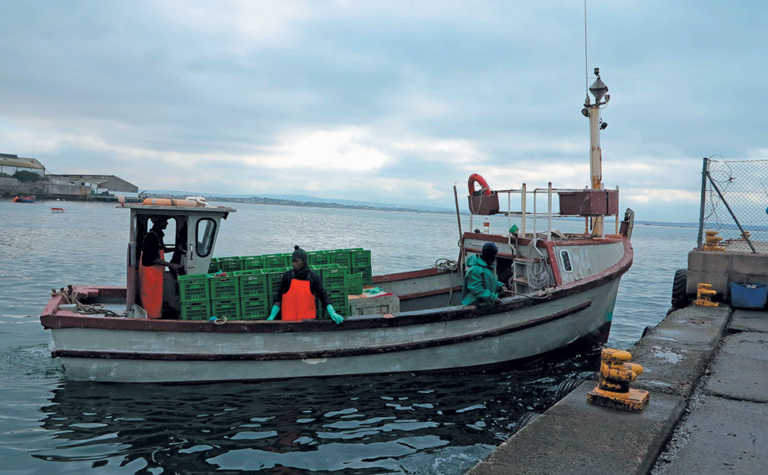 Court rules for DAFF in fishing rights allocation