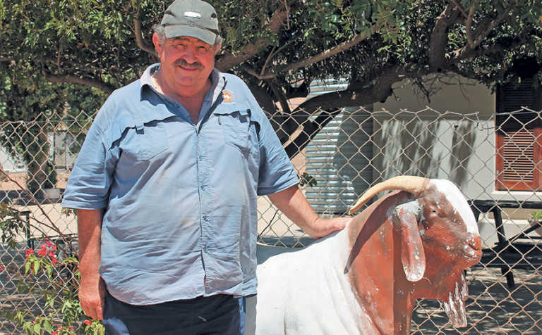 A successful Boer goat stud in the Hantam Karoo