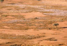 Extreme El Niño still expected, even if global warming halts