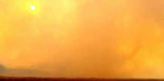 Veld fires scorch eastern Free State farms