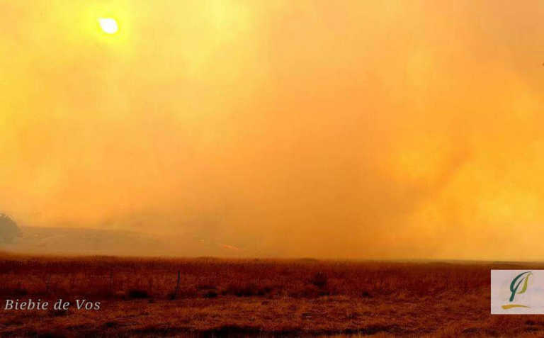 Veld fires scorch eastern Free State farms Veld fires scorch eastern Free State farms