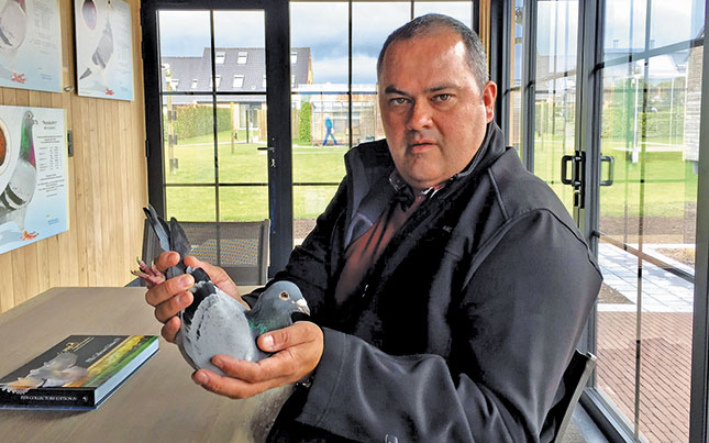 The R5 million racing pigeon