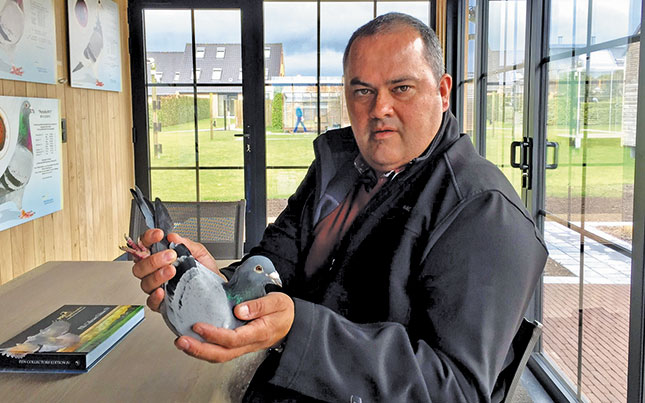 The R5 million racing pigeon The R5 million racing pigeon