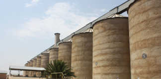 Silos need more space for bumper crop