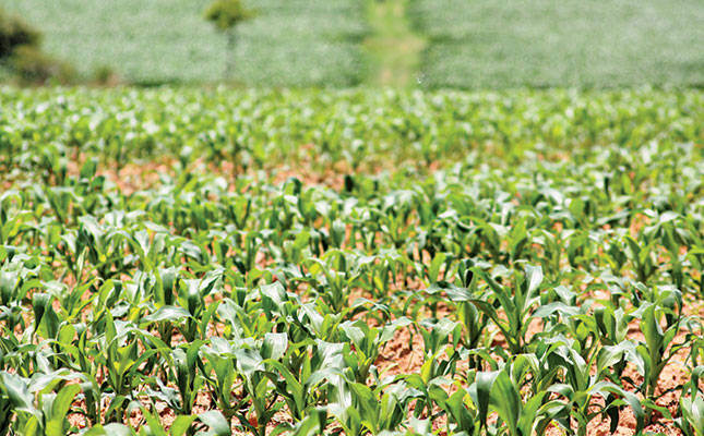 Trends in Africa affecting agriculture