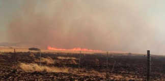 About 50 farmers from the Bethulie district assisted state officials in containing a wildfire in the area on 15 August. Photo: Facebook/Free State Agriculture