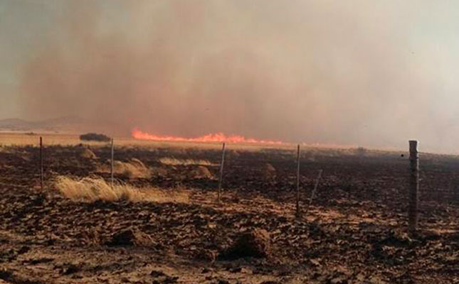 About 50 farmers from the Bethulie district assisted state officials in containing a wildfire in the area on 15 August. Photo: Facebook/Free State Agriculture