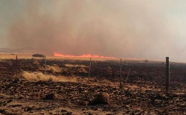 Wildfires destroy more than 60 000ha in the Free State Wildfires destroy more than 60 000ha in the Free State